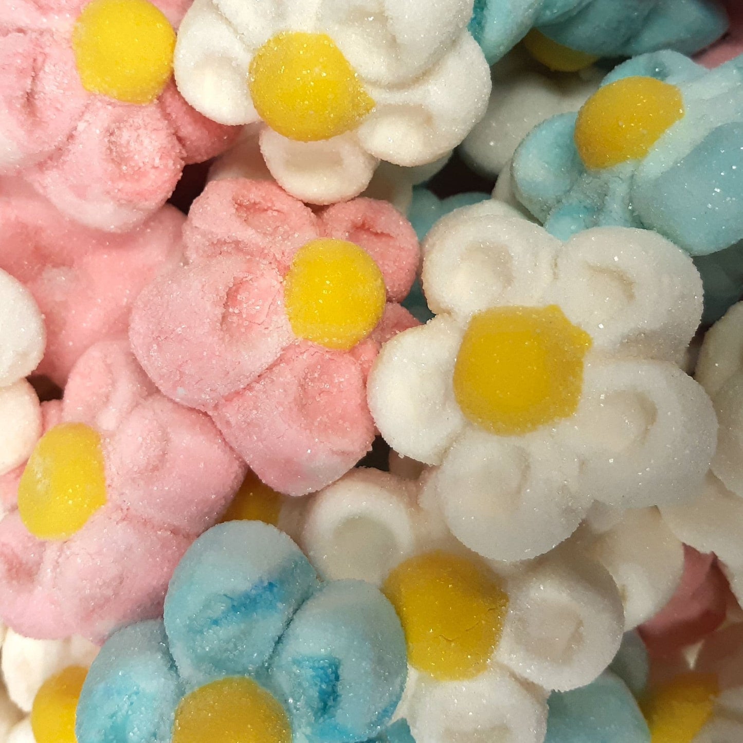 Marshmallow Mix - Jelly filled & Non Jelly Filled