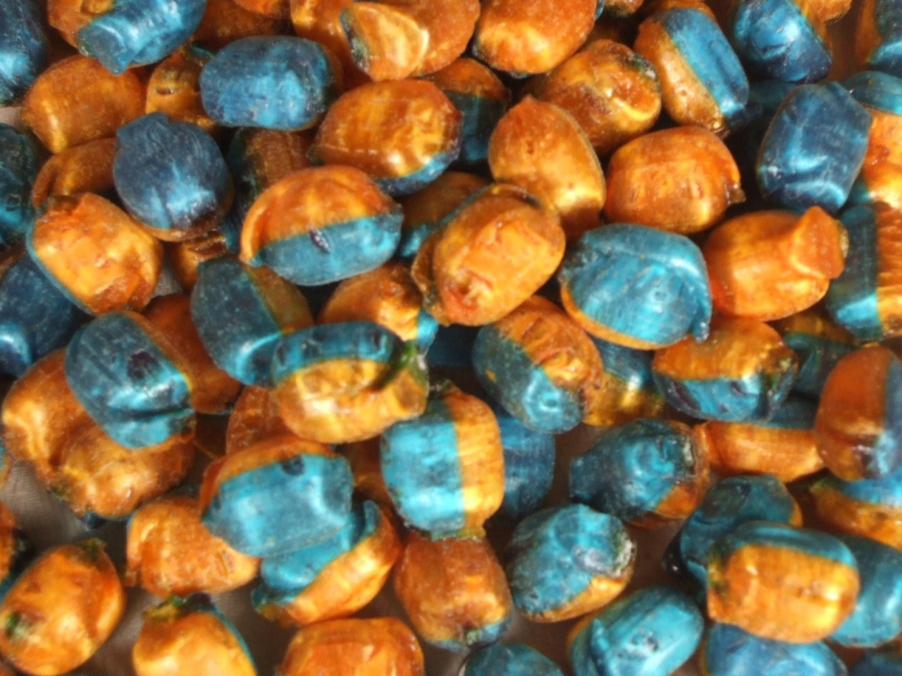 Hard Boiled Pips