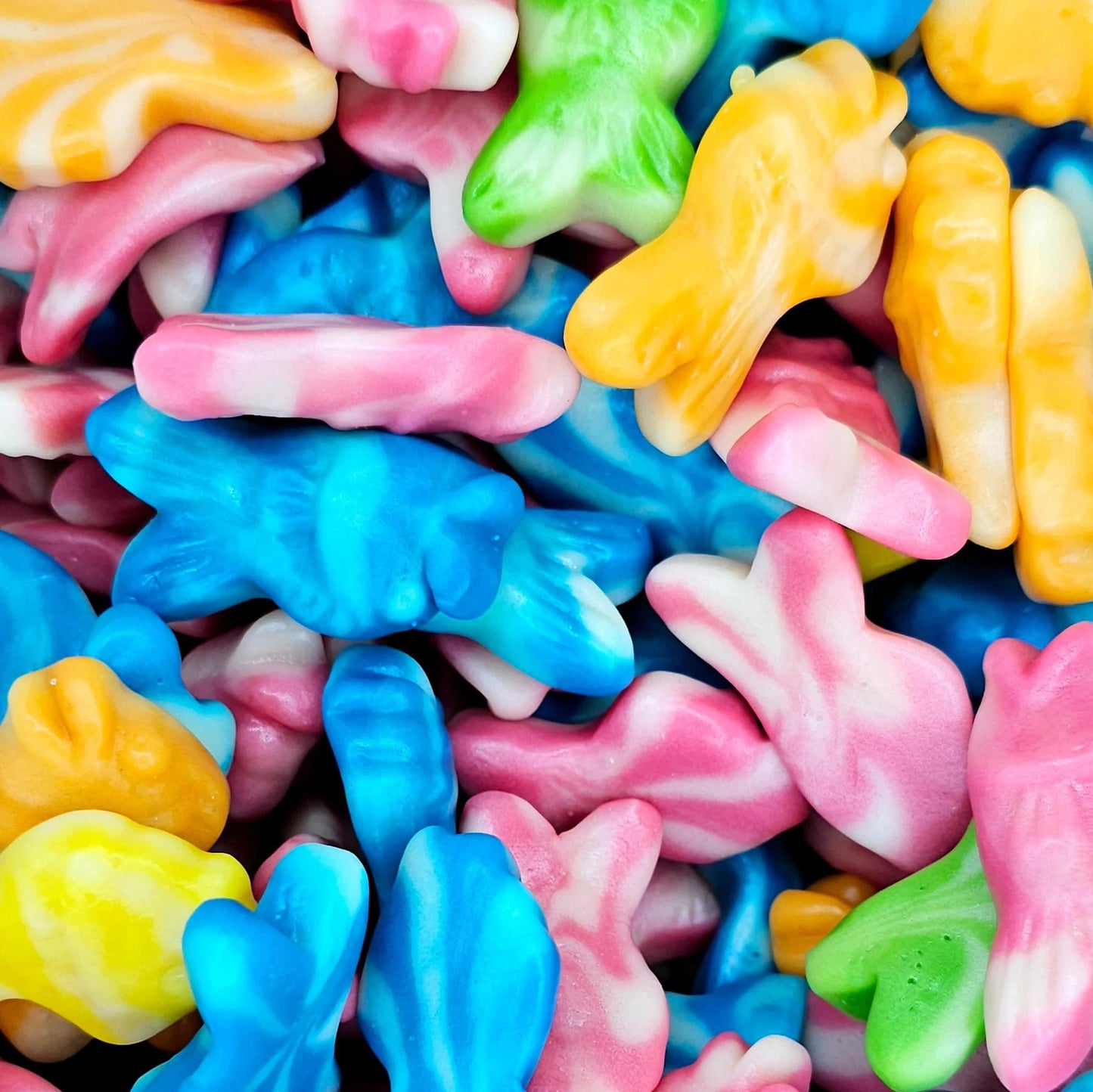 Swirly Fish 100G (Gluten Free)