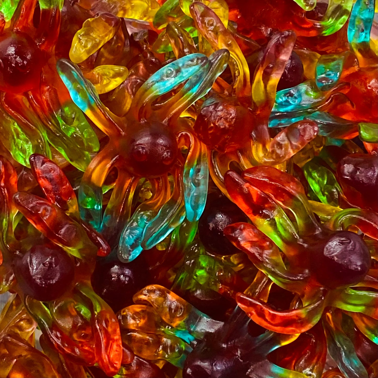 Gummy Octopus 100G