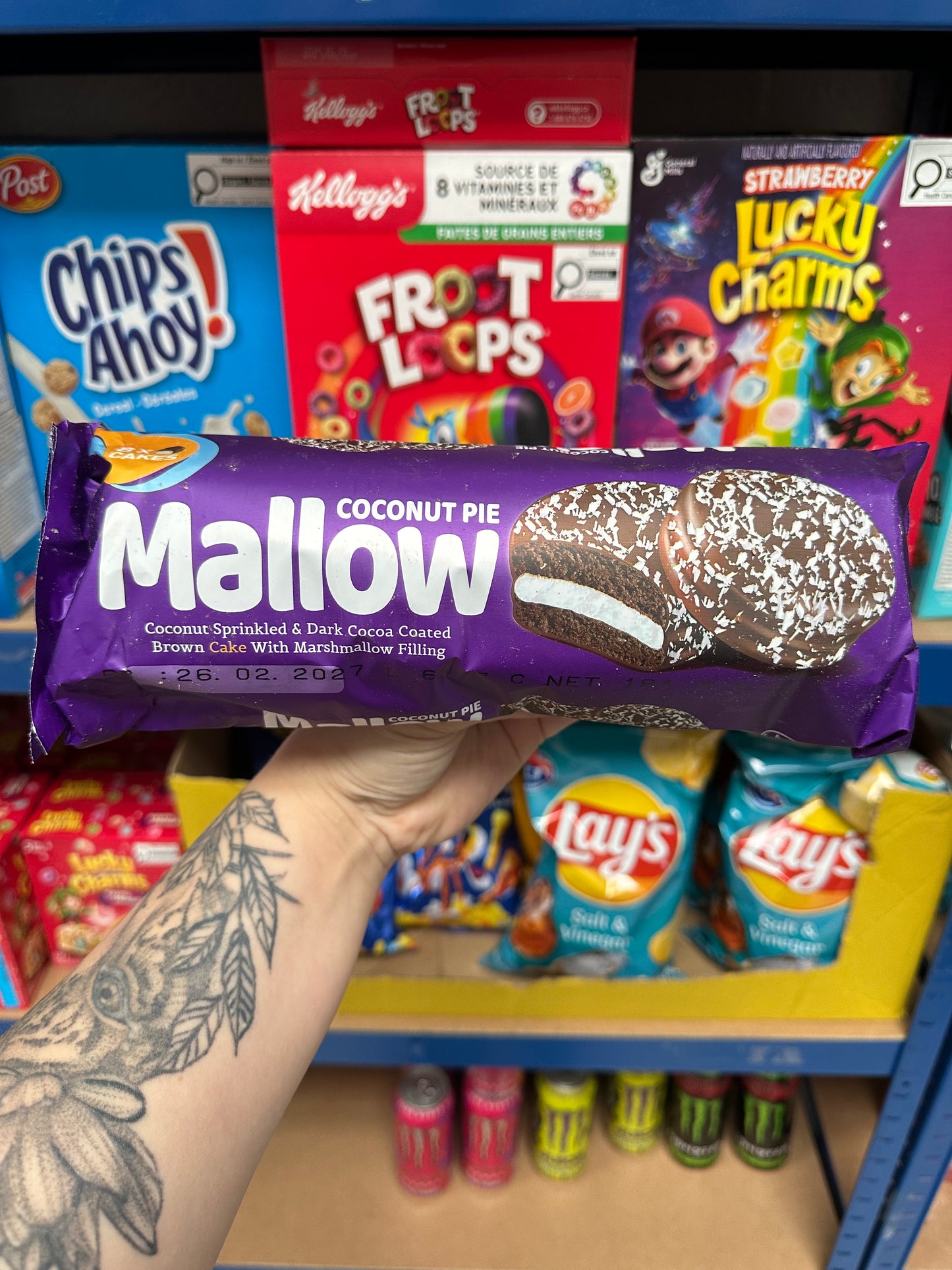 Coconut Mallow Pie