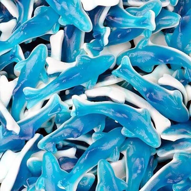 Giant Dolphins 100G